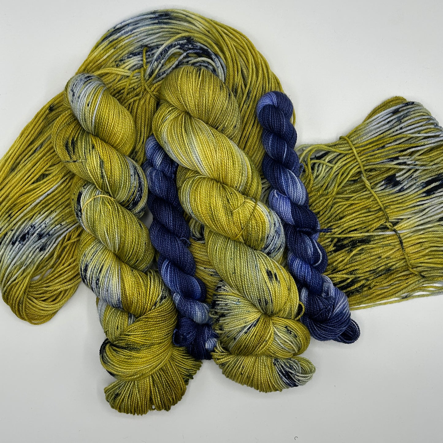 Mathematical Biologist + Homeostasis Sock Set