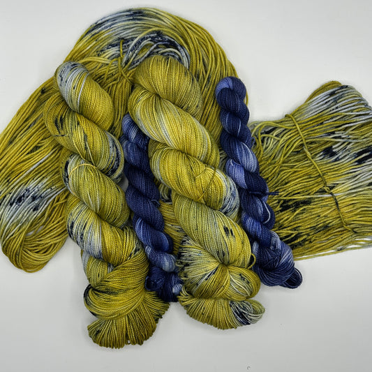 Mathematical Biologist + Homeostasis Sock Set