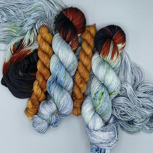 Evolutionary Biologist + Polychromic Sock Set
